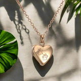 Pet Memorial Urn Collar Corazón-Shaped Colgante con Paw Engraving