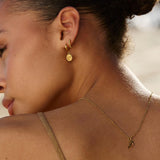 Zodiac Harmony Charm Collar
