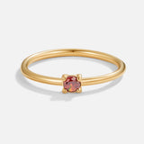 Especial Birthstone Anillos