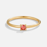 Especial Birthstone Anillos