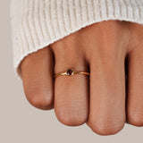 Especial Birthstone Anillos