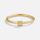 Especial Birthstone Anillos