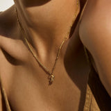 Zodiac Harmony Charm Collar