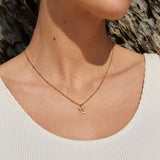 Zodiac Harmony Charm Collar